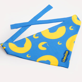 Chewise dog bandana, soft tie-on bandana for small to large dogs