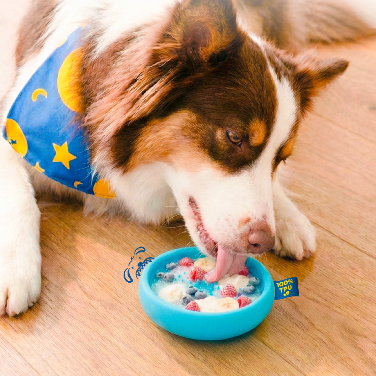 Dog licking a frozen Chewise Freeze Bowl