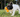 Are Bully Sticks Safe for Dogs? Vet-Backed Safety Guide | Chewise