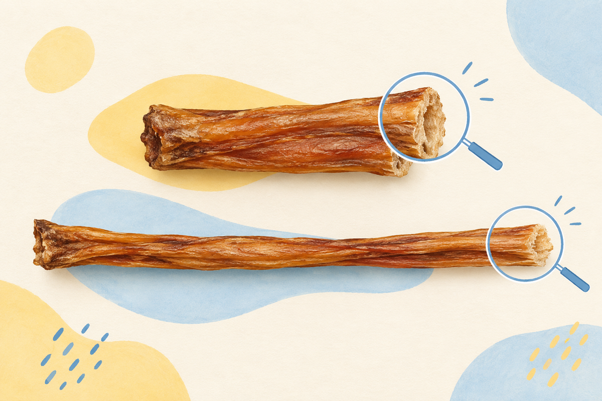 Illustration comparing a shorter thick bully stick with a longer thin stick; not to scale