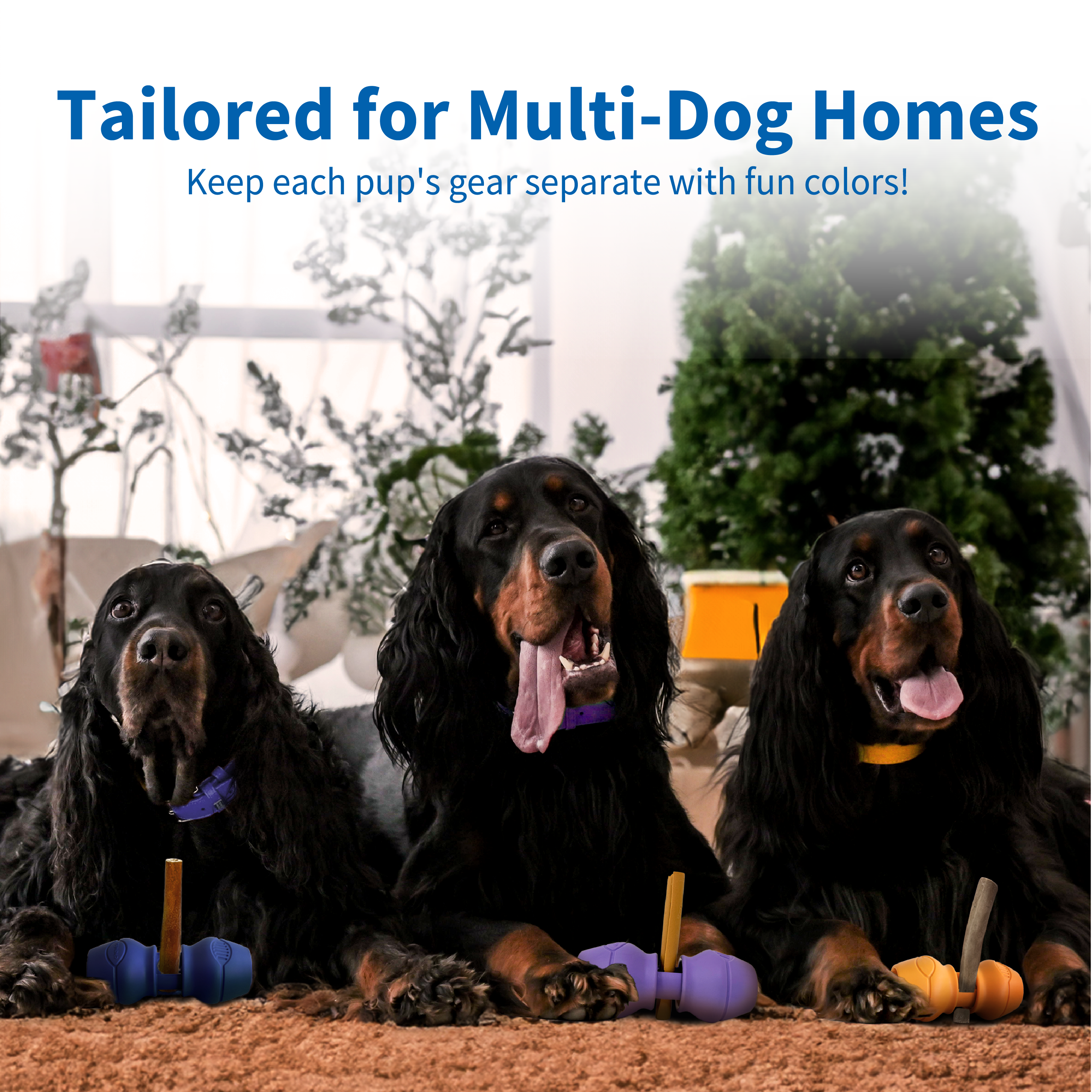 Chewise Bully Stick Holder: For 3-Dog Homes