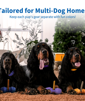 Chewise Bully Stick Holder: For 3-Dog Homes
