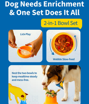 Chewise Enrichment Bowl Set - Yellow