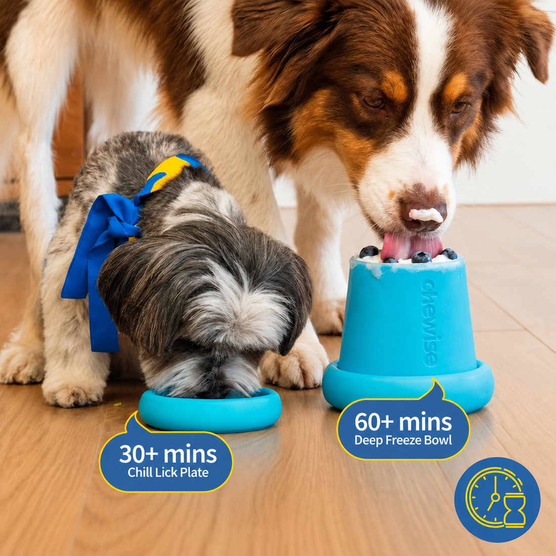 30 to 60+ minutes of focused licking