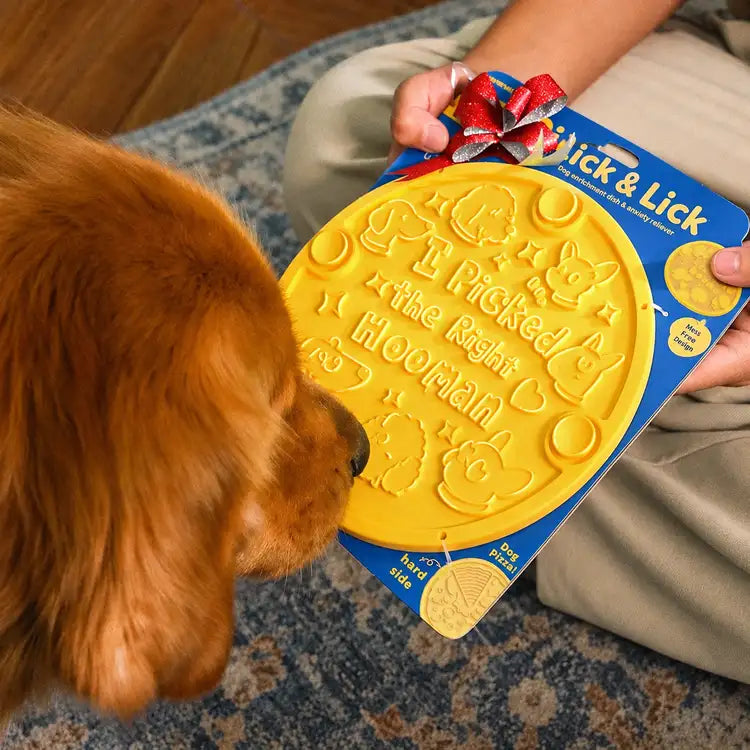 For the dog who picked you