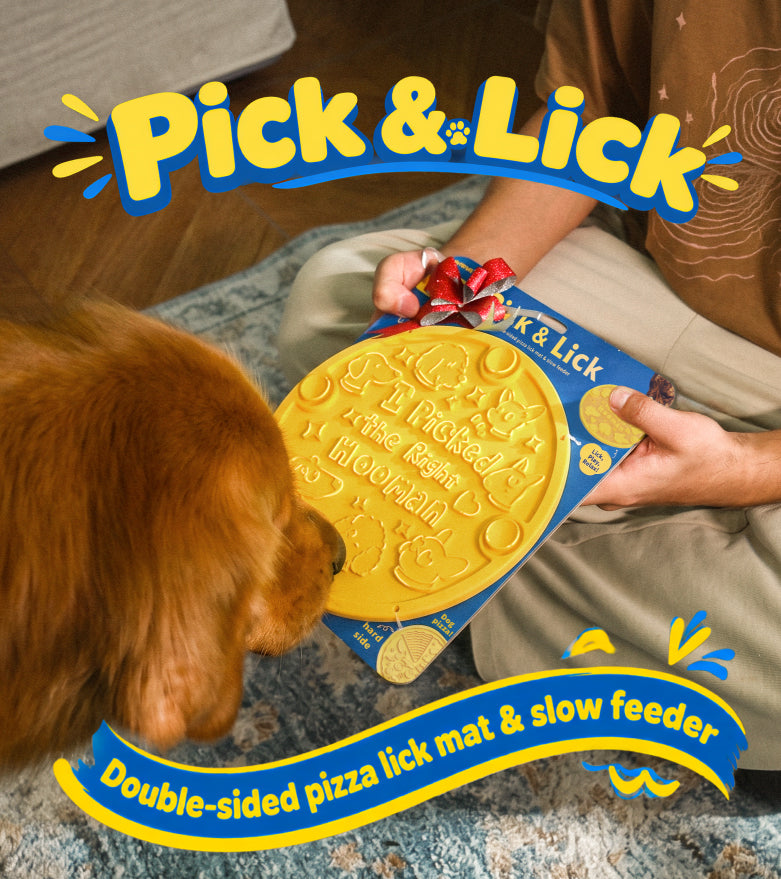 Pizza night for your pup